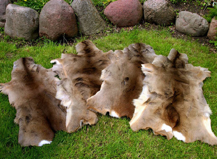 Гарбарны завод скура авечая вытворца авечых шкур icelandic дыван Польша